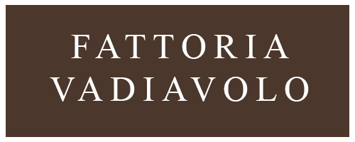 Fattoria VADIAVOLO, Montalbano, Via Gugniano, 37, 51030 San Baronto  (Pt)