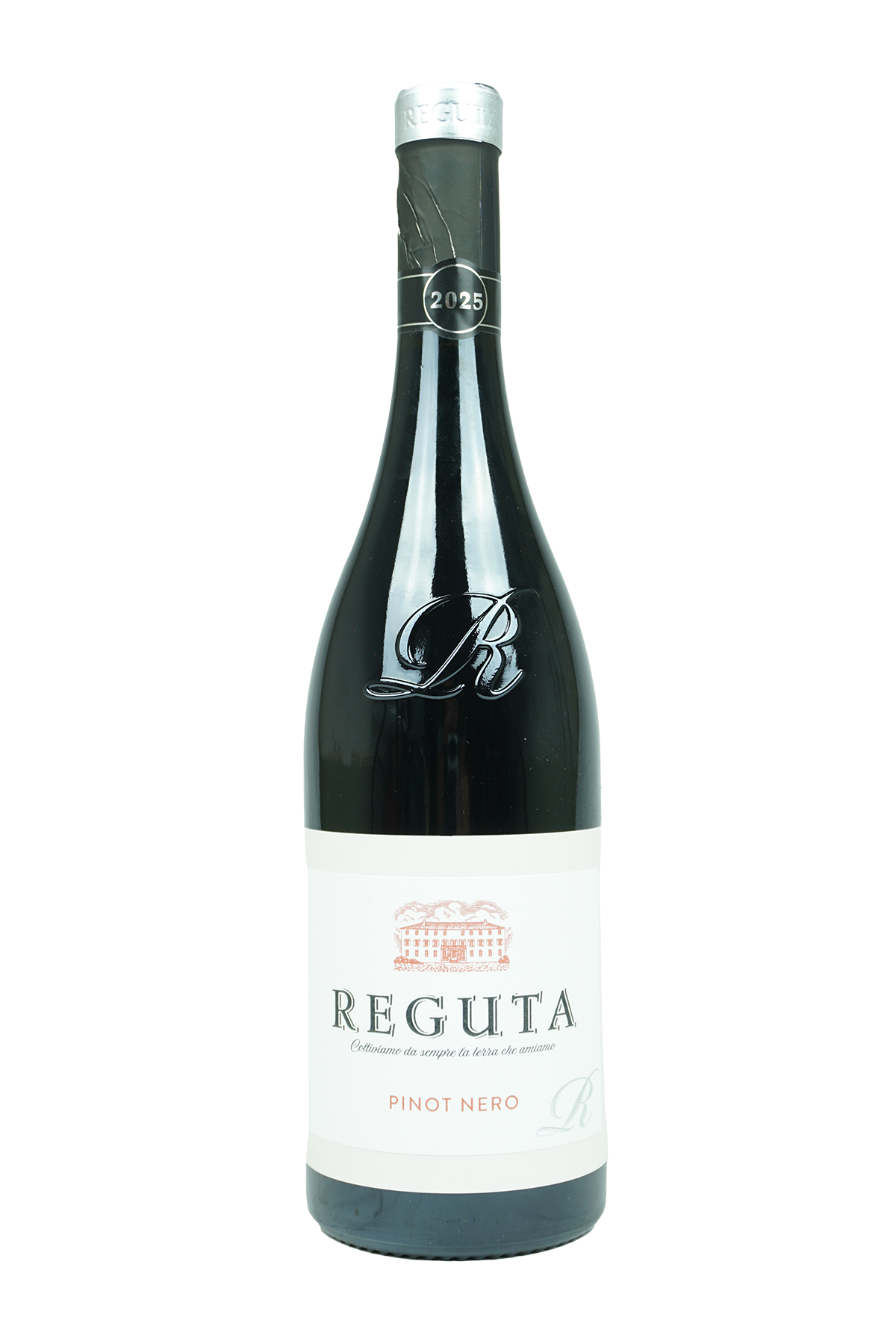 2025 Pinot Nero "Reguta" Colli Trevenezie